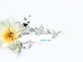 /album/abstraktne-abstract/a1-jpg/