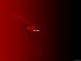 /album/laska-love/a4681-jpg/